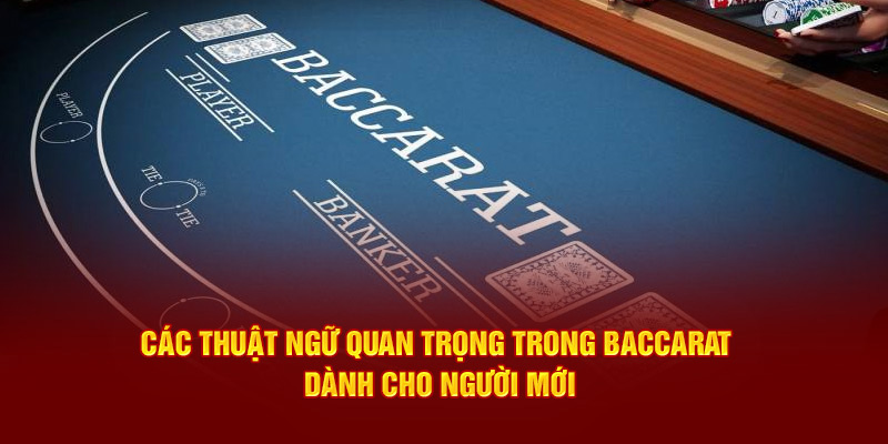 Các thuật ngữ quan trọng trong Baccarat dành cho người mới