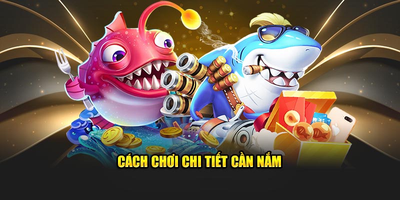 Cách chơi chi tiết cần nắm
