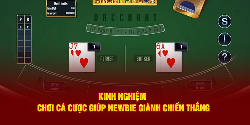 Kinh nghiệm chơi cá cược giúp newbie giành chiến thắng